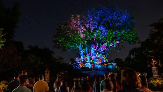 Tree of Life Awakenings