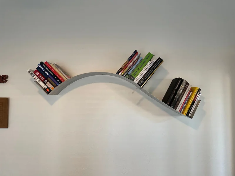 Roller Coaster Bookshelf